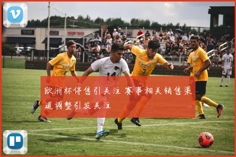欧洲杯停售引关注 赛事相关销售渠道调整引发关注