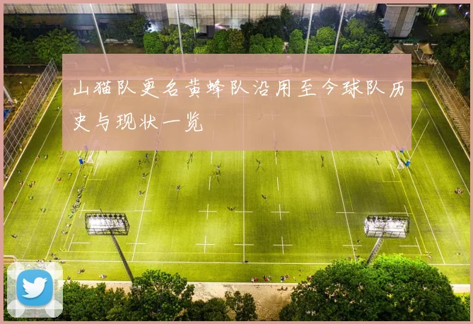 山猫队更名黄蜂队沿用至今球队历史与现状一览
