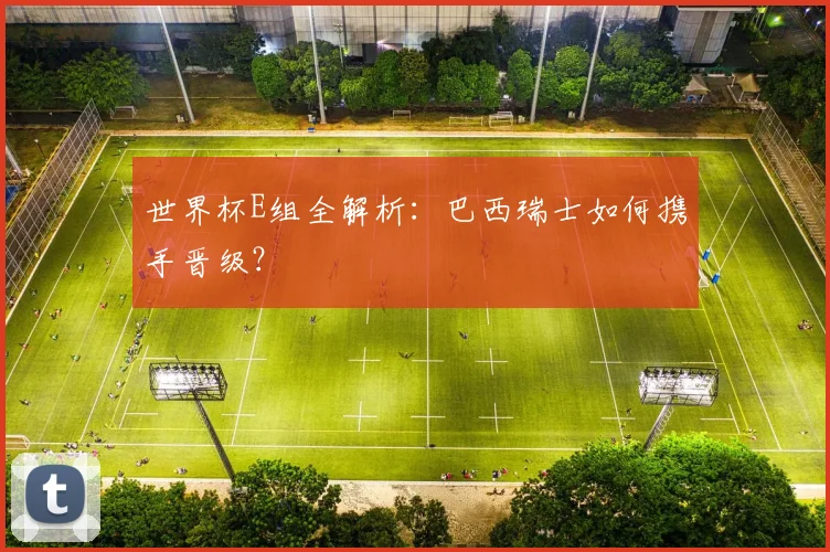世界杯E组全解析:巴西瑞士如何携手晋级?