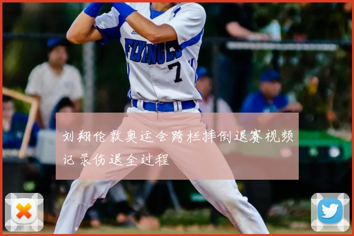 刘翔伦敦奥运会跨栏摔倒退赛视频记录伤退全过程